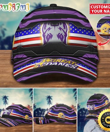 Ncaa Albany Great Danes Baseball Cap Flag Custom Name Cap