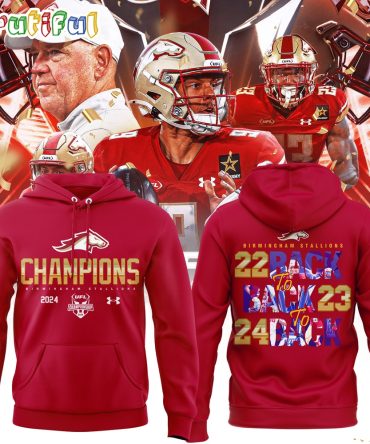 Birmingham Stallions Ufl 2023-2024 Champions 3D Hoodie
