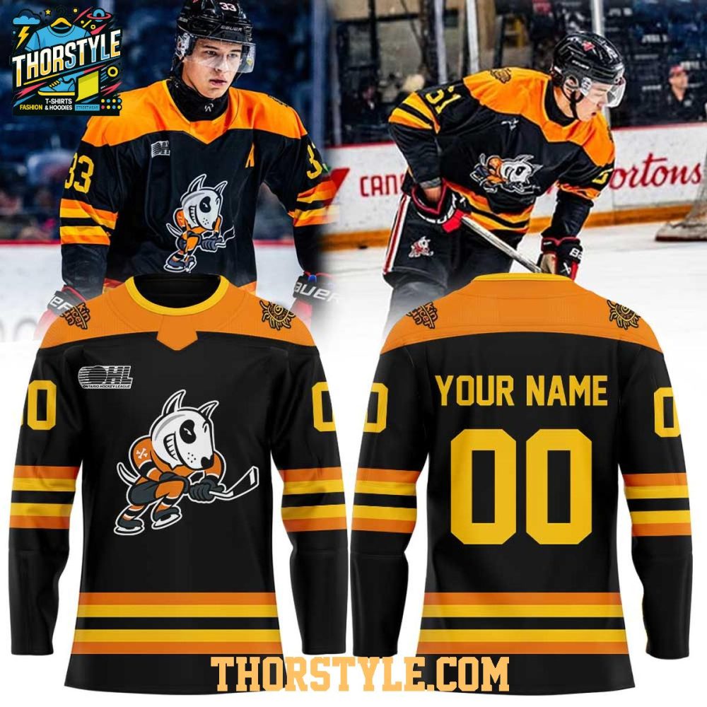 Niagara Icedogs Cancer Care Programs 2026 Personalized Hockey Jersey