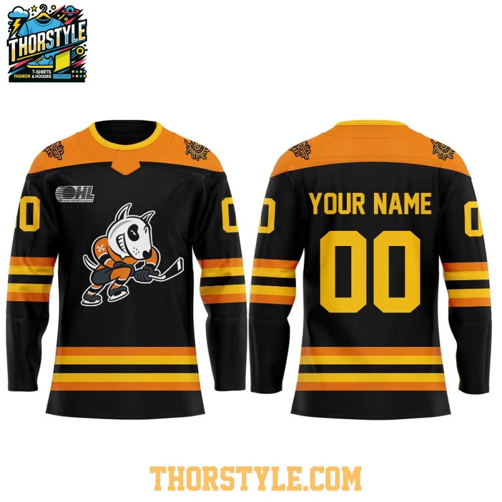 Niagara Icedogs Cancer Care Programs 2026 Personalized Hockey Jersey - Image 2