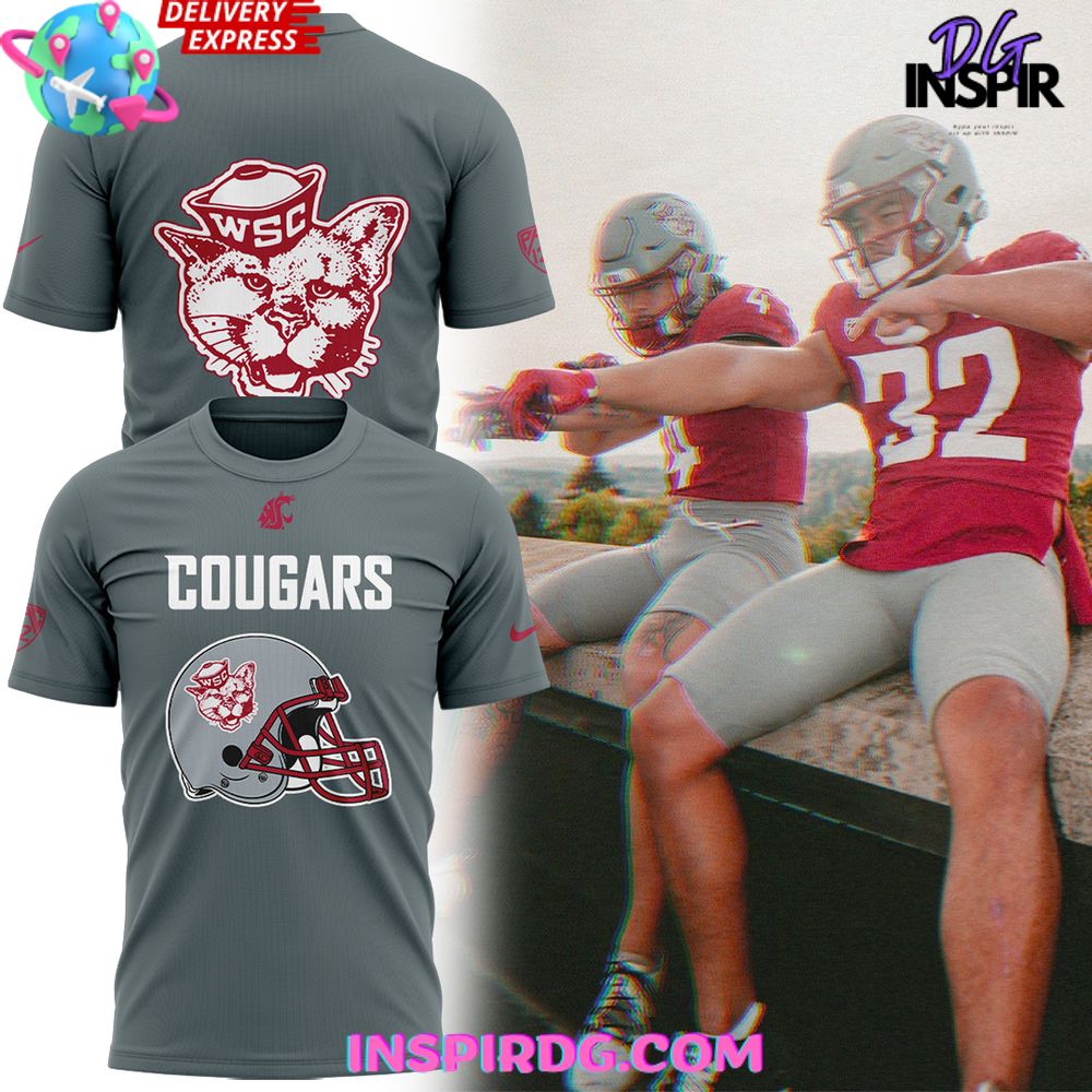 Washington State Football Helmet 2024 Gray T-Shirt
