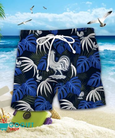 France National Soccer Team Hawaiian Men Short