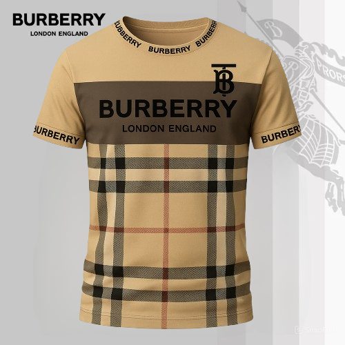 Luxury Brand Burberry 3D Hoodie T-Shirt 2026-Lx-Tsbbr2025091