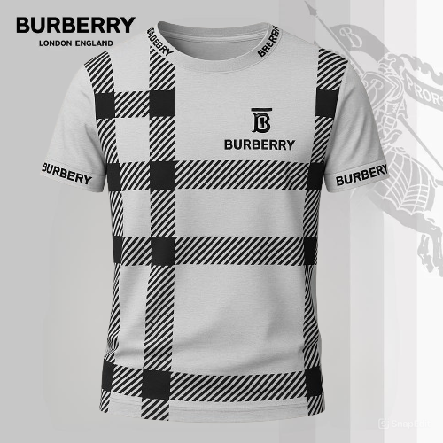 Luxury Brand Burberry 3D Hoodie T-Shirt 2026-Lx-Tsbbr2025092