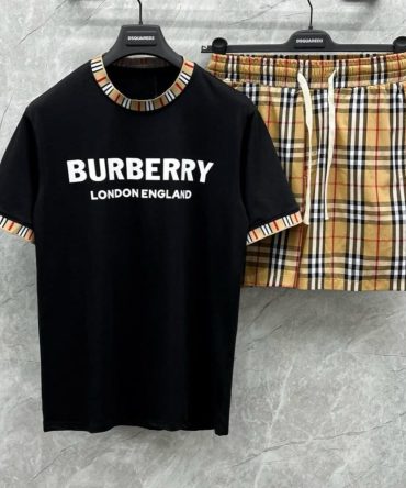 Luxury Brand Burberry T-Shirt Hot Gift Pea12072403
