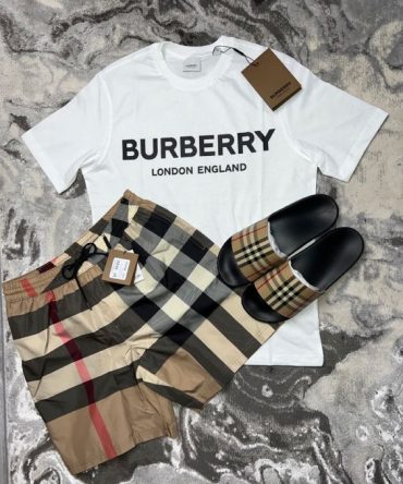 Luxury Brand Burberry T-Shirt Hot Gift Pea31929