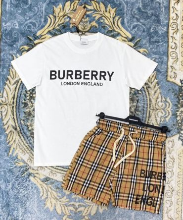 Luxury Brand Burberry T-Shirt Hot Gift Pea346080