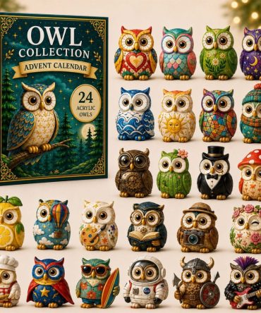 Whimsical Owls Advent Calendar 2026 24 Days Christmas Mystery Ornaments Owl Lover Holiday Gift