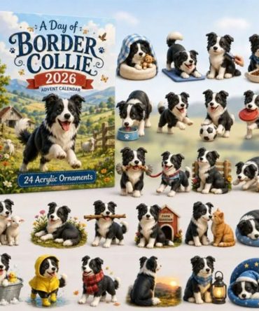 24 Days Of Border Collie Enchanted Storybook Advent Calendar 24 Acrylic Christmas Ornaments