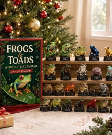 Frogs And Toads Advent Calendar 2026 Christmas Tree Ornaments Gift For Nature Lovers