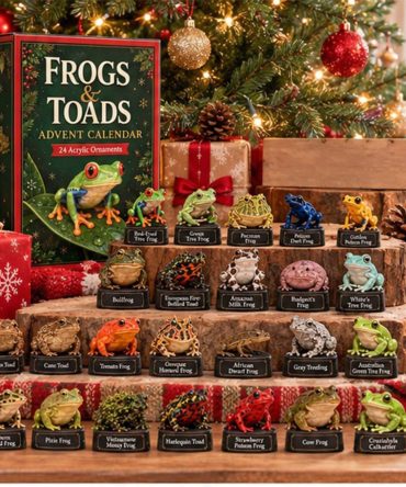 Frogs And Toads Advent Calendar Christmas Ornament Countdown Box Xmas Tree Hanging Decor