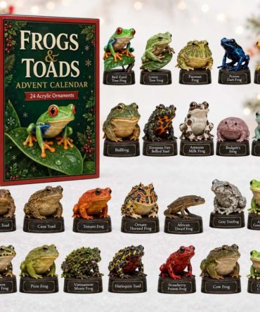Frogs And Toads Advent Calendar 24 Days Of Christmas Ornaments Xmas Gift For Amphibian Lovers
