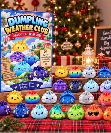 Dumpling Weather Club Advent Calendar 24 Day Of Christmas Ornaments Cute Gift For Xmas