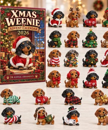 Xmas Weenie Dog Advent Calendar 2026 24 Acrylic Ornaments Countdown Gifts For Kids, 3D Acrylic Collectibles
