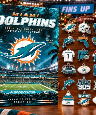Miami Dolphins Christmas Advent Calendar More Than A Team Gifts For Him, 3D Acrylic Collectibles