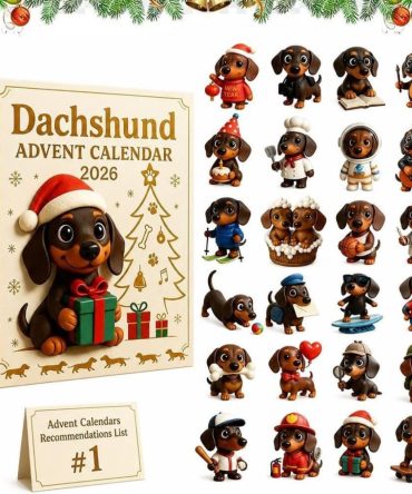 2026 Dachshund Advent Calendar 24 Days Dog Christmas Ornaments Gift For Dachshund Lovers