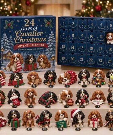 Cavalier King Charles Spaniel Christmas Advent Calendar Xmas Tree Ornaments Cavalier Fan Gifts