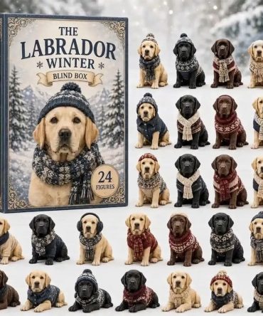 Labrador Winter Blind Box Advent Calendar Holiday Countdown Collection Christmas Ornament