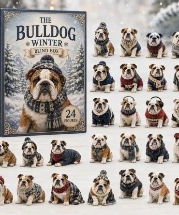 Winter Bulldog Dog Christmas Advent Calendar Holiday Countdown Cute Puppy Ornaments Gifts