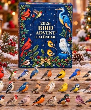 2026 Bird Advent Calendar Countdown Christmas Tree Ornaments Gifts For Bird Lovers