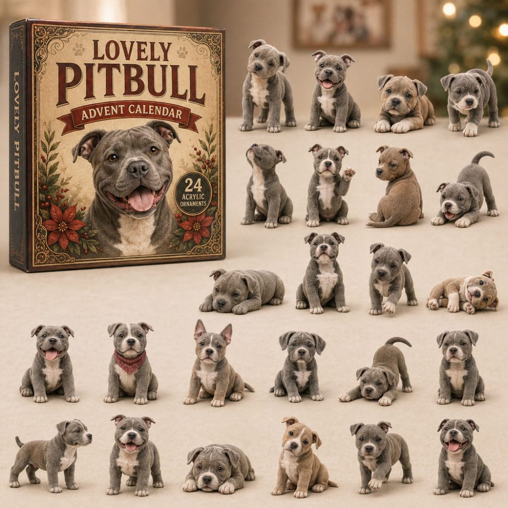 Lovely Pitbull Advent Calendar 2026 24 Day Holiday Celebration Gift Ideas For Bestie, 3D Acrylic Collectibles