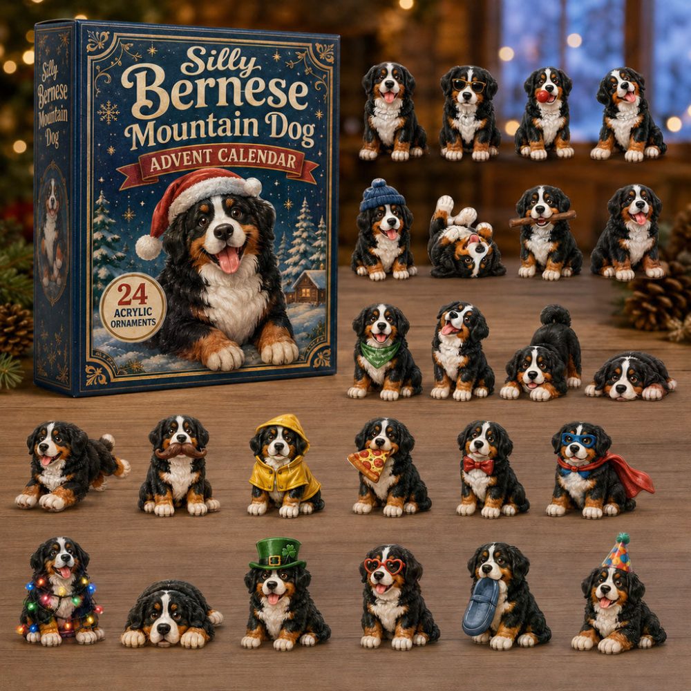 Silly Bernese Mountain Dog Advent Calendar 2026 24 Day Holiday Surprise Gift For Bernese Dog Lovers, 3D Acrylic Collectibles