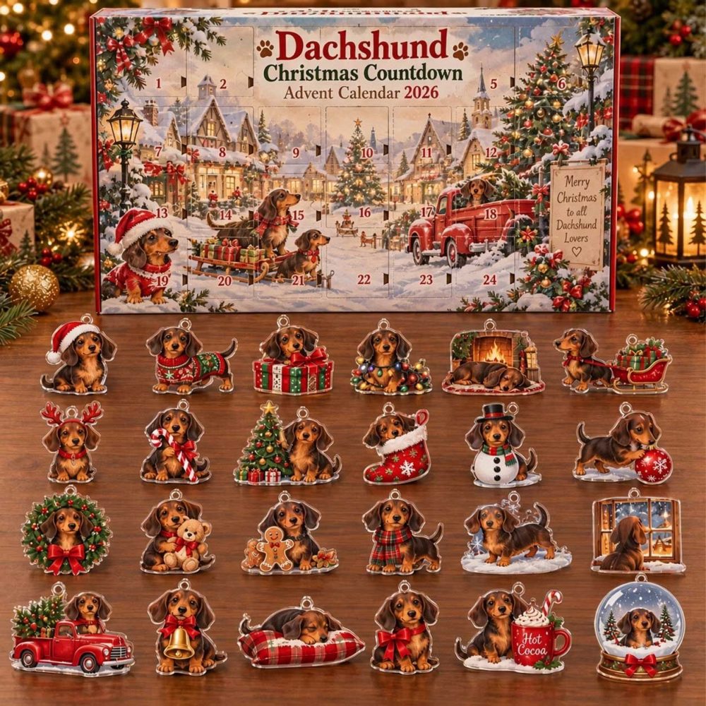Dachshund Christmas Countdown Advent Calendar 2026 24 Day Holiday Joy Gift For Dog Fans, 3D Acrylic Collectibles